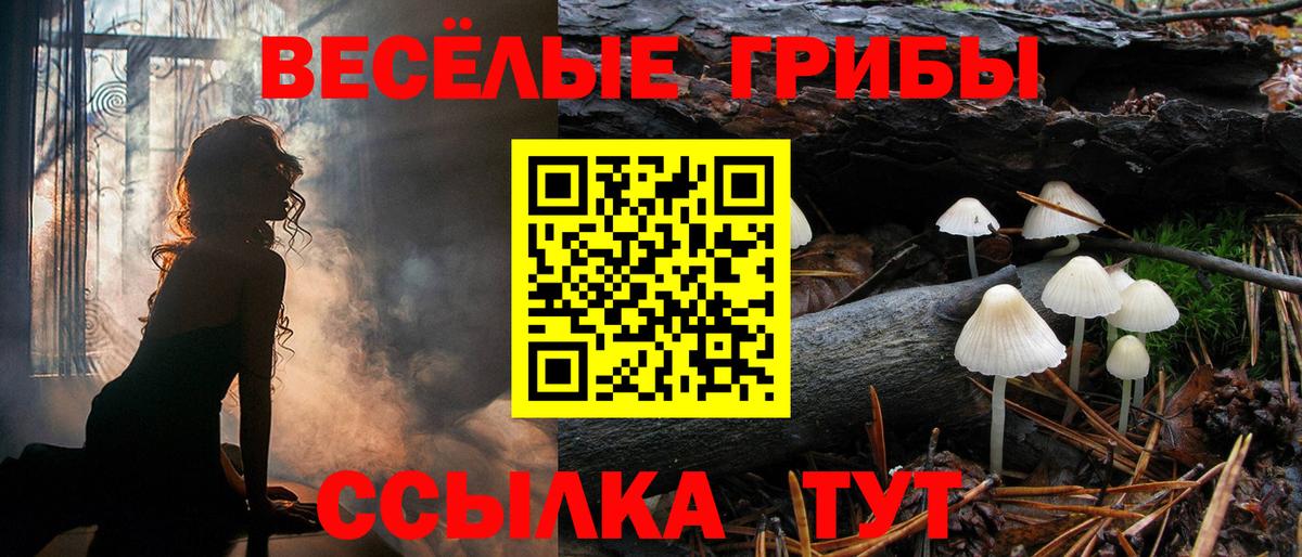 Псилоцибиновые грибы Psilocybine cubensis Фролово